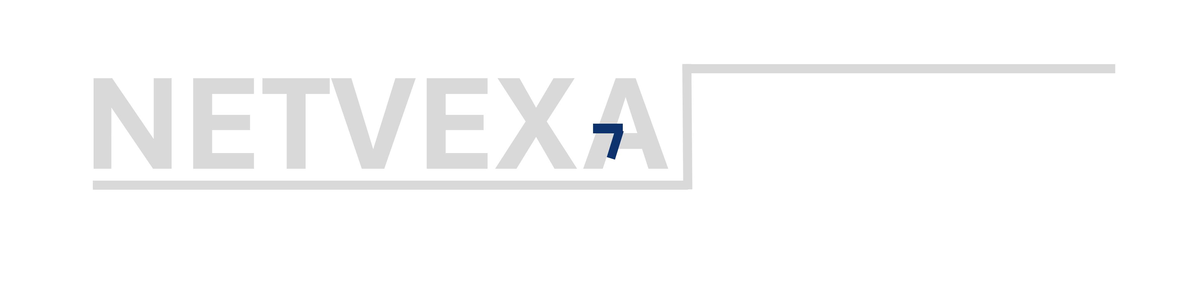 NETVEXA LOCAL Logo