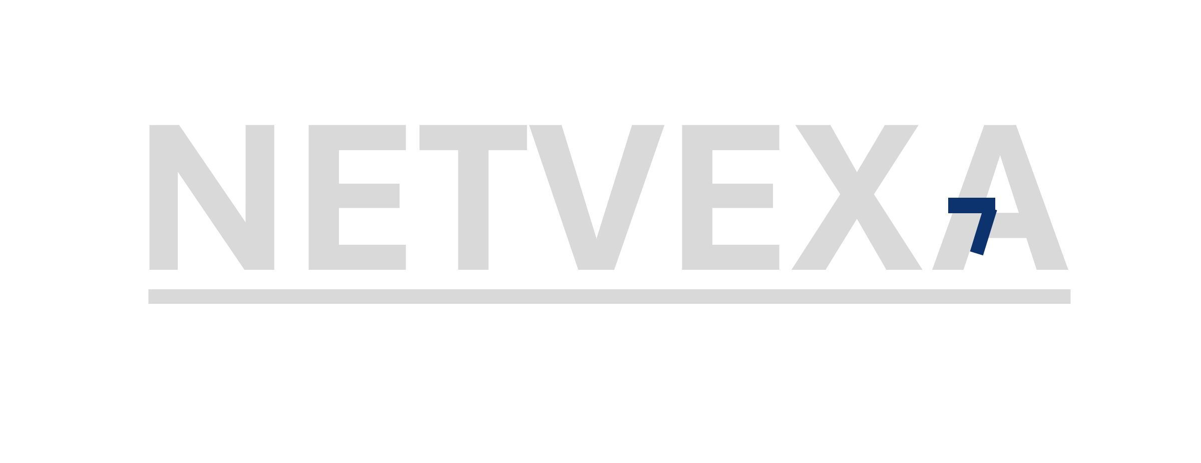 NetVexa Logo
